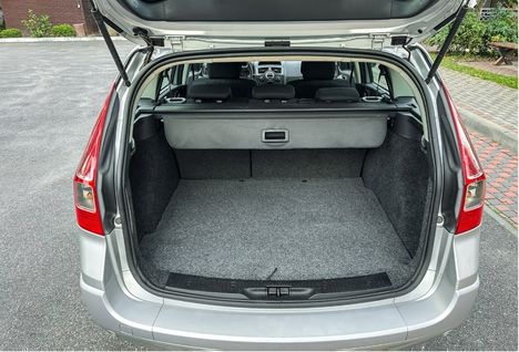 trunk